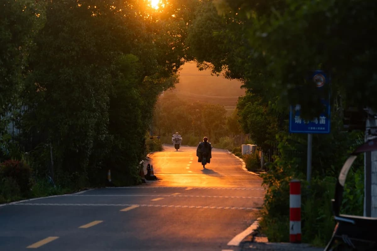 Motociclista em estrada de mata ao pôr do sol dourado