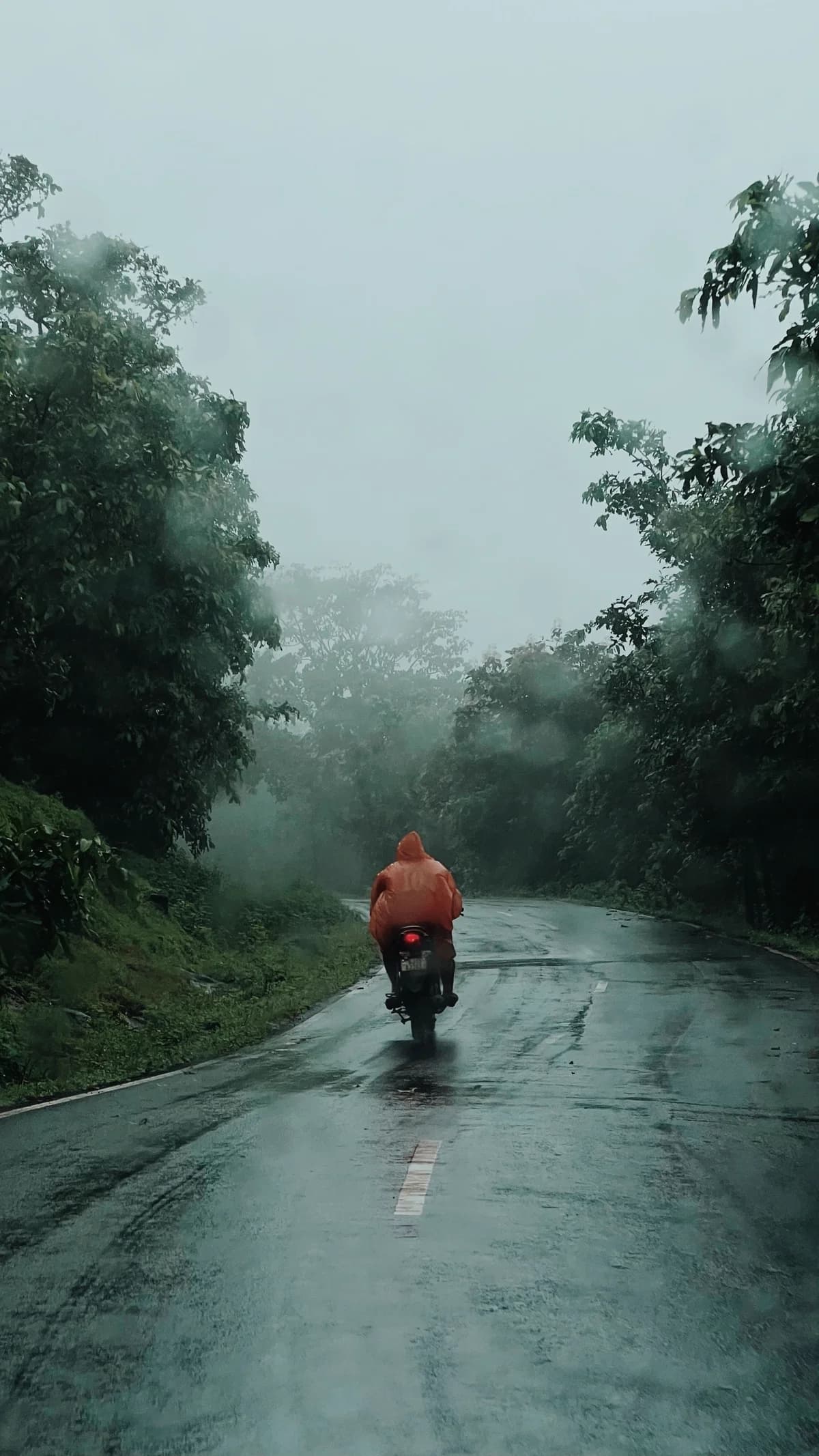Motociclista solitário em estrada de serra com neblina após chuva
