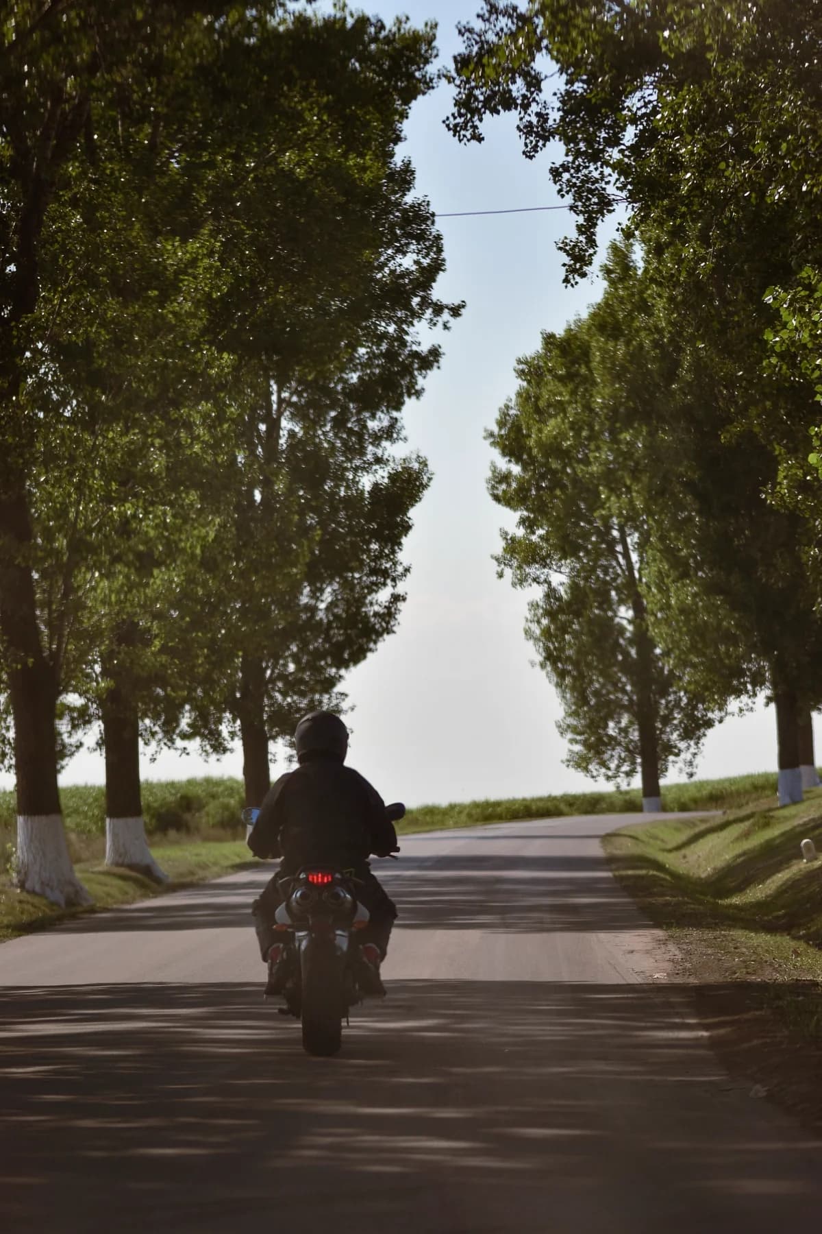 Motociclista em estrada arborizada em viagem solo