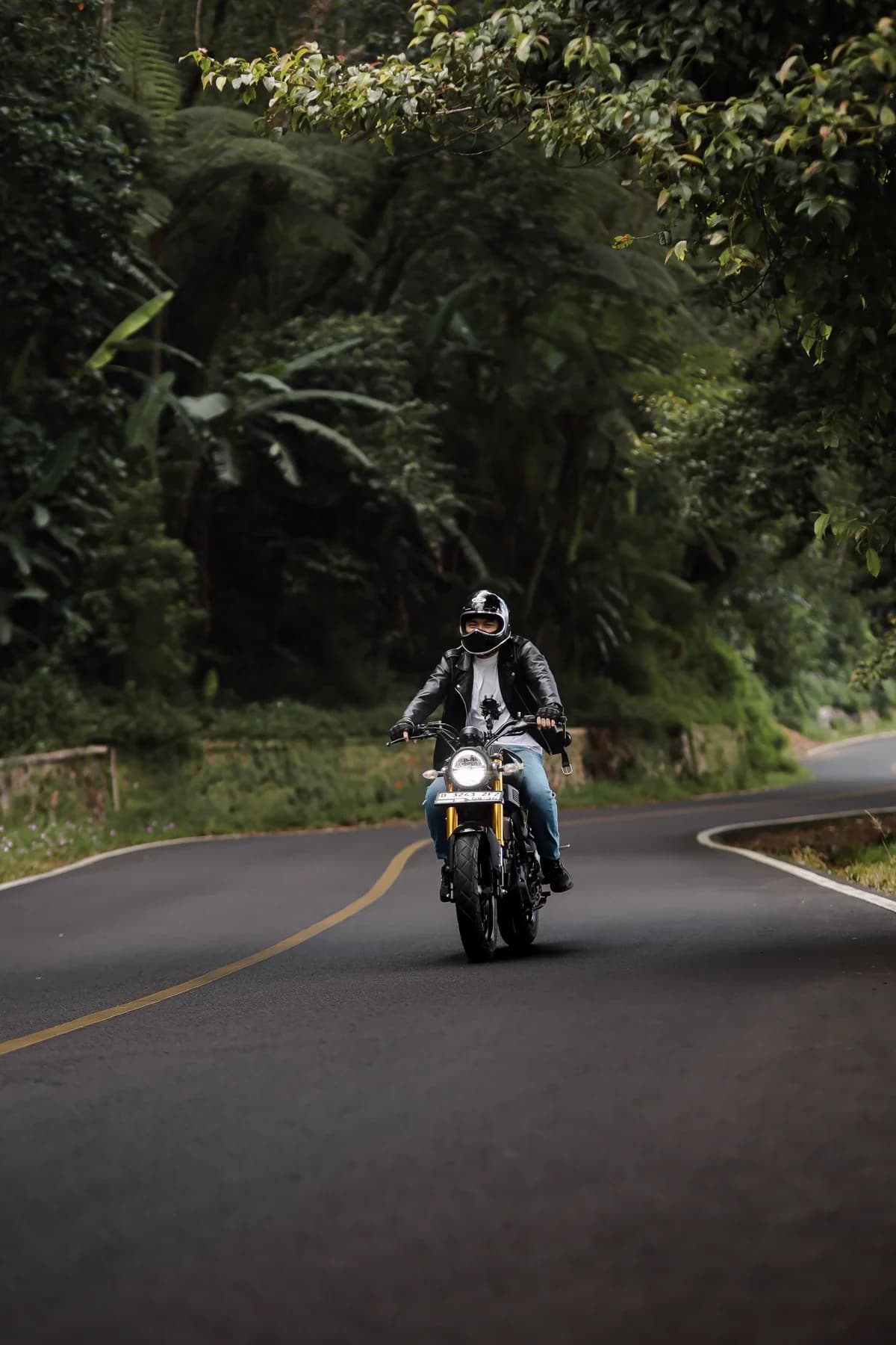 Moto em estrada tranquila de mata